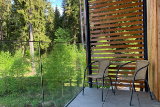 Výhled z balkonu do lesa  - Apartmán Dolce Vita - Ubytování Harrachov